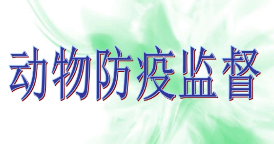 ӄl(wi)O(jin)ͷߙz߹Ć}̽ӑ